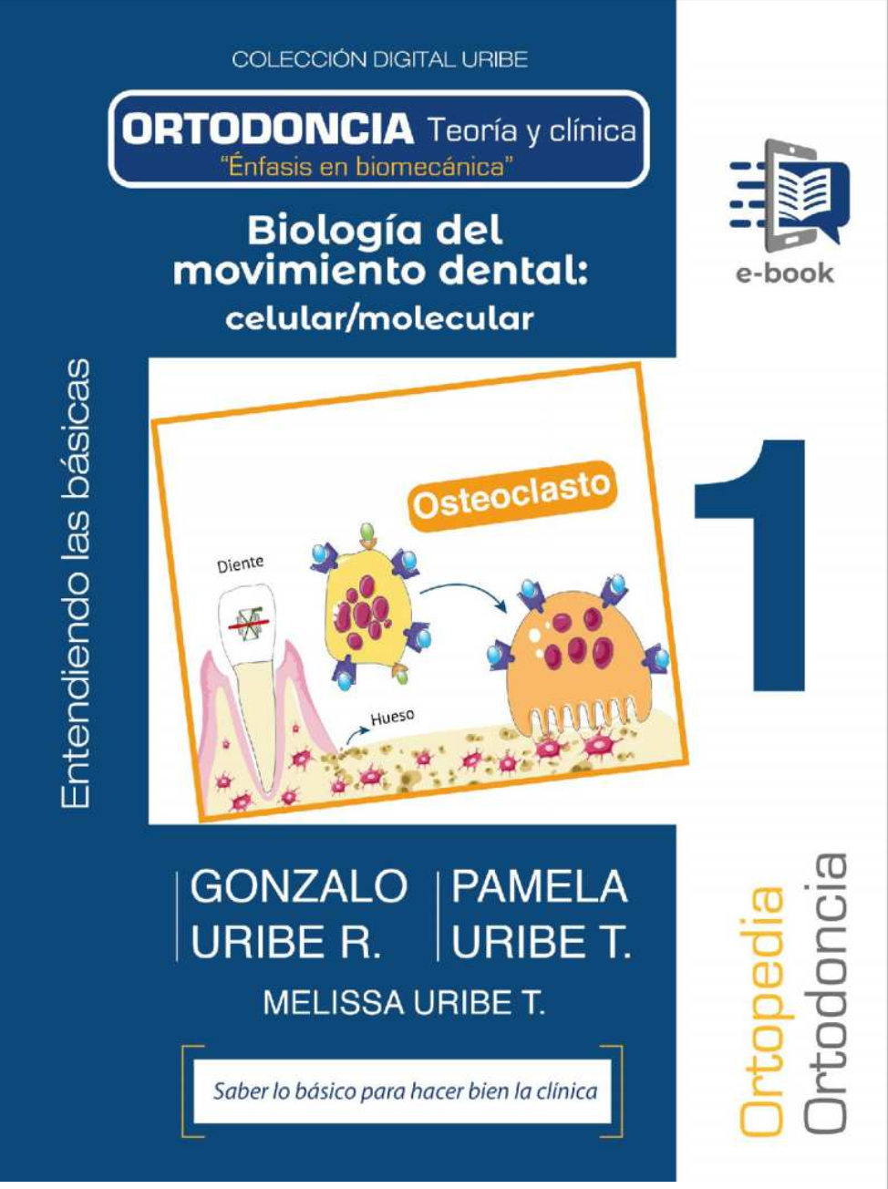 Biología del movimiento dental celular molecular