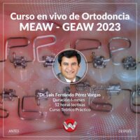Curso MEAW GEAW 2023
